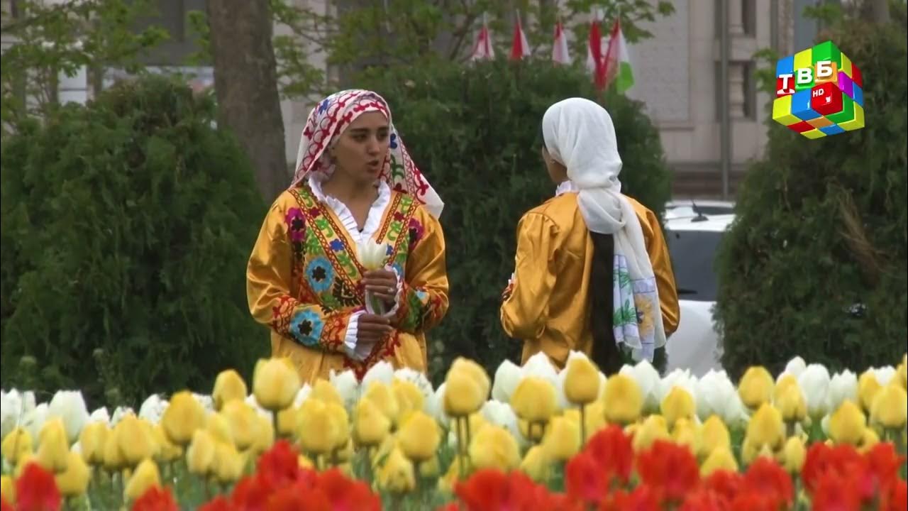 «Лавҳа» Ноҳияи Синои шаҳри Душанбе - дар оғуши гулҳои баҳорӣ - YouTube