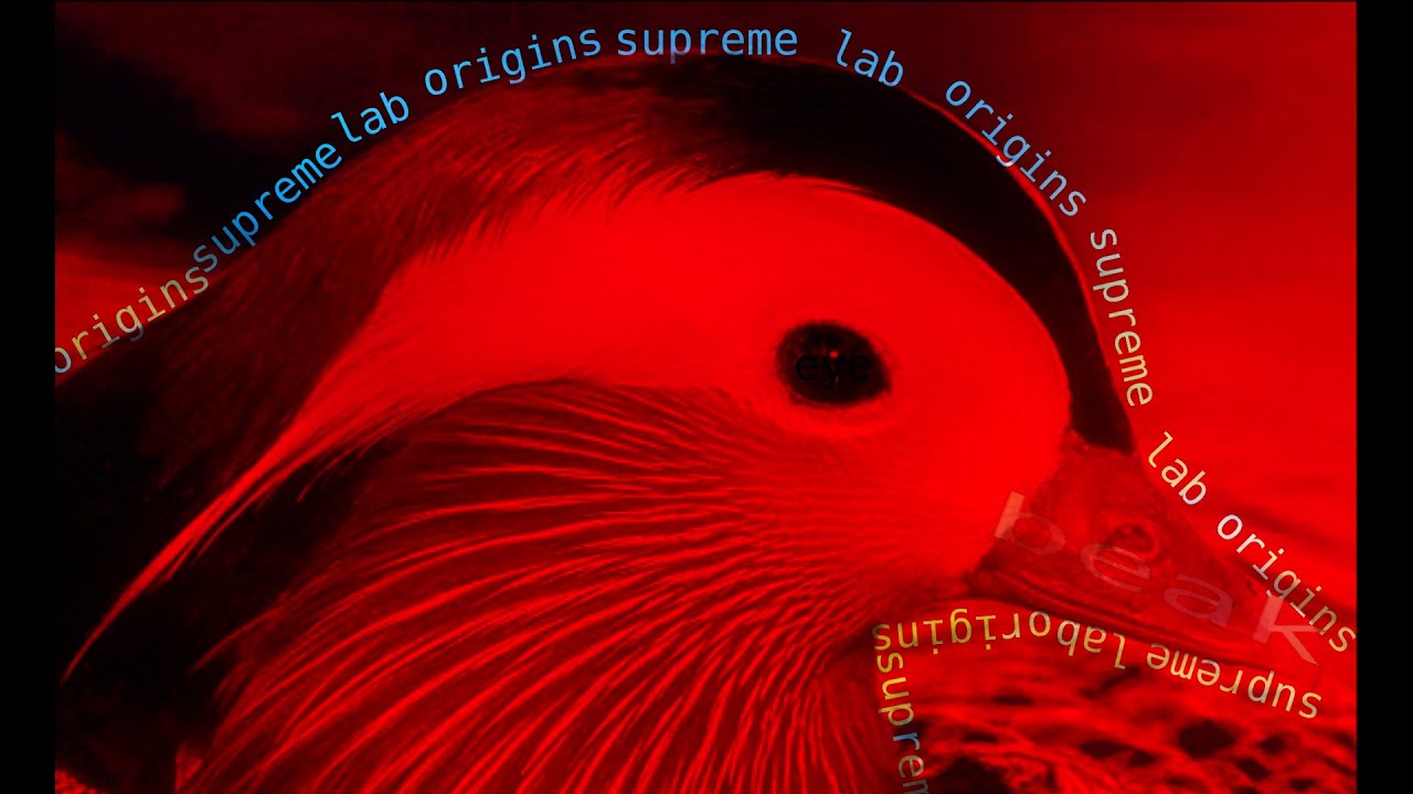 Supreme Lab Origins 100% (Demon) by Rob Buck | Geometry Trash - YouTube