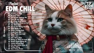 Một Chút EDM Chill Thư Giản Sau Ngày Dài Mệt Mỏi ♫ Top 20 Bản Nhạc EDM Gây Nghiện HOT TikTok 2024