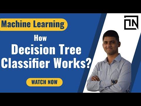 How Decision Trees Works for Classification | AI ML tutorials by a Data ...