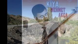 Aşık Kiya-Eşinden Ayrılan Yaralı Ördek