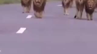 Hum Din Ka Jhanda gadenge