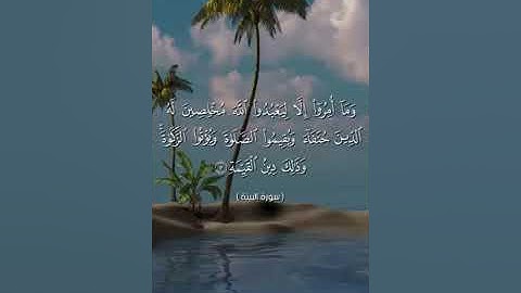 سورة:البينة للقارئ/ عمرو نزيه القلاوي