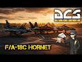 🔴 Развлекаемся на PvE сервере | F/A-18C Hornet | DCS World Gameplay !live !stream