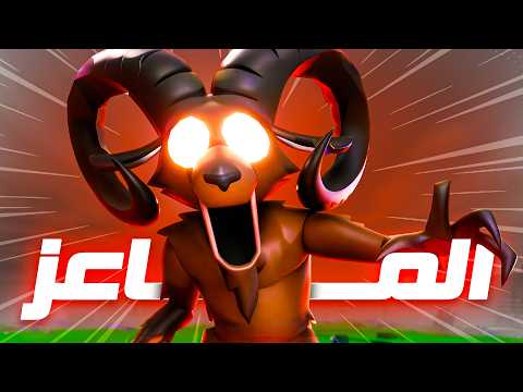 صفر ليلة في الغابة 