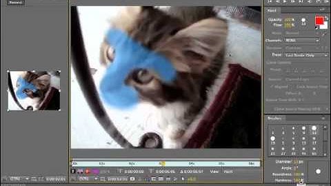 Adobe After Effects CS5 Tutorials - Puppet Tool, Erasing Part No.4
