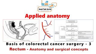 Applied anatomy of rectum - Colon and rectal cancer surgery - anatomical basis - Edusurg Clinics