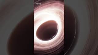 New Type of Black Hole Discovered?