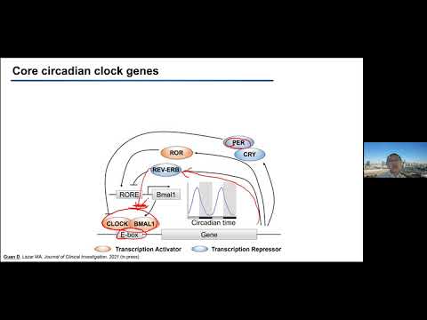 CGM第164期：生物钟中的表观遗传学和转录组学