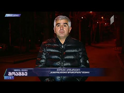 პარალელური დათვლის სადავო შედეგები - გიორგი ბოტკოველი - „ნაციონალური მოძრაობა“