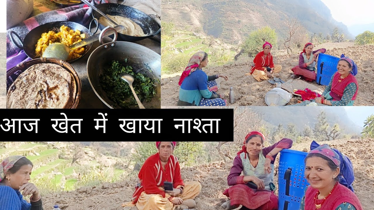 आज सहेलियों ने  की मेरी मदत  मेहनत का फल  अवशय मिलेगा पहाड़ी नारी सब पर भारी 🙏❤👍