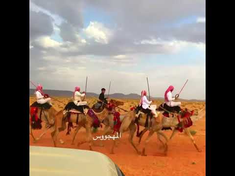 بالله ياهل الهجن معكم تشيلوني سارية السواس