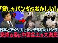 【海外の反応】「日本だけ扱いが違いすぎるだろ！」米国のボロボロなパンダと日本のツヤツヤなパンダを比較した結果、中国全土がブチギレw