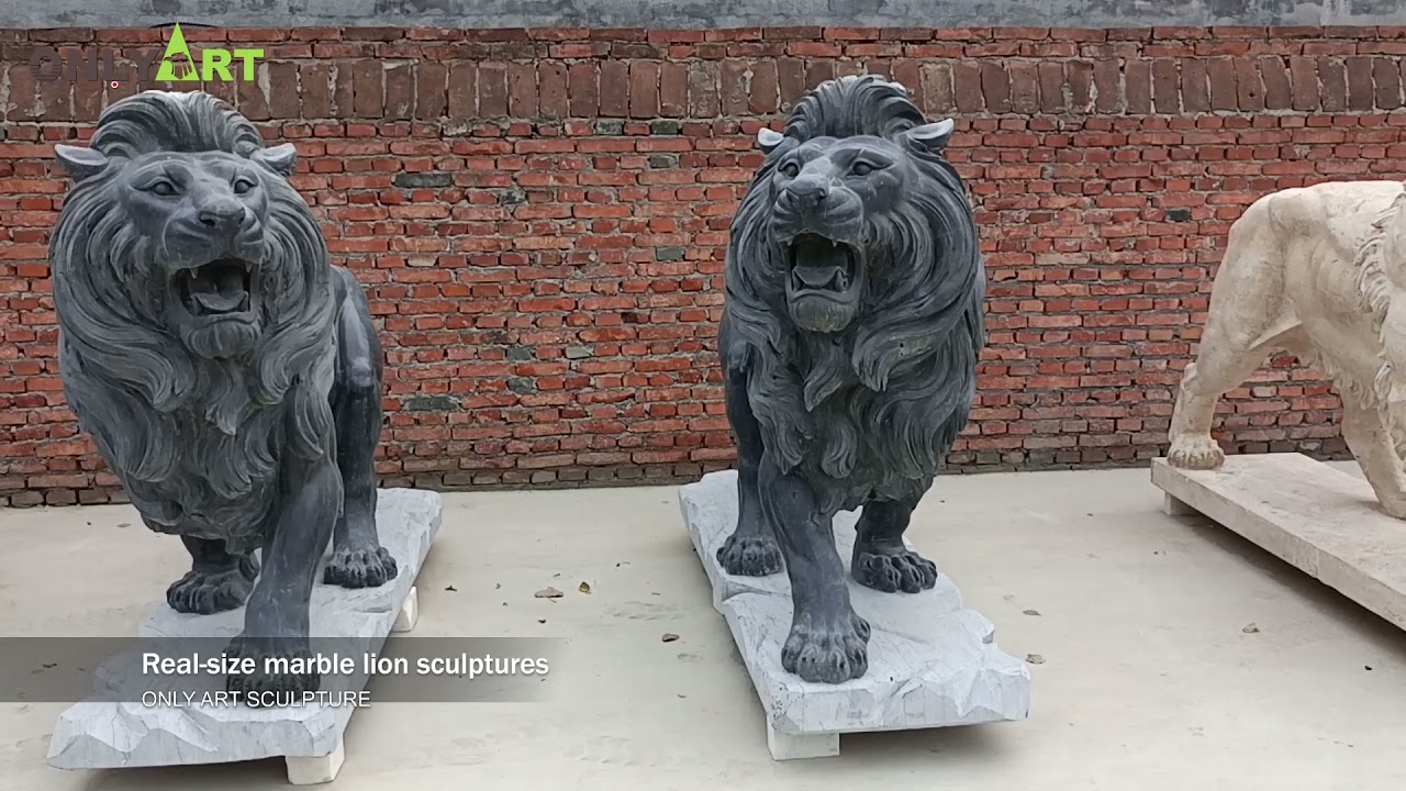 black marble lion statue for garden
