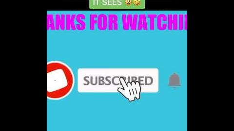 Cat discovers it’s ears for the first time | Cat sees itself in the mirror