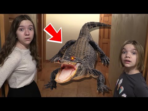 How Do Alligators Use The Bathroom?