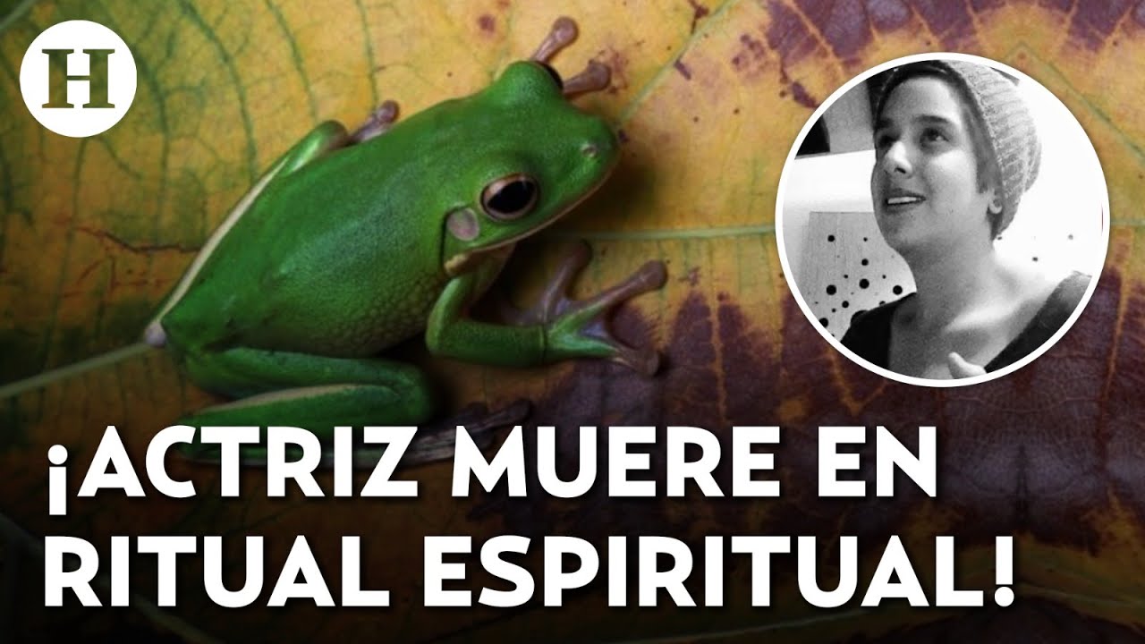 ¿Qué es el Kambó? El peligroso ritual con veneno de rana que cobro la ...