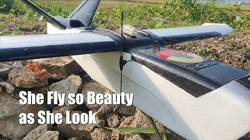 Good Morning with ZOHD Talon GT Rebel