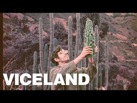 The Cactus Apprentice: HAMILTON'S PHARMACOPEIA (Preview) - The Cactus Apprentice: HAMILTON'S PHARMACOPEIA (Preview)
