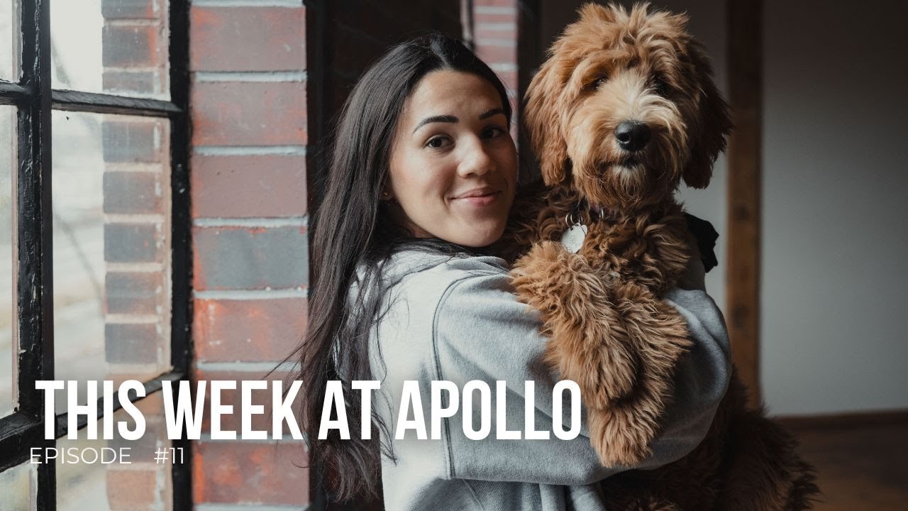 This Week at Apollo: What’s It Like Working at Apollo (Episode 11 ...