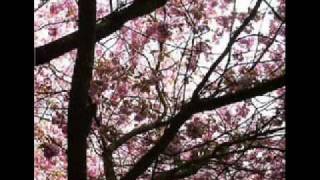 Celebrity Current 93 - Hypnagogue (A dream prologue) part i. Wealth