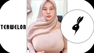 Dahsyatnya Melon Bunda Bikin Rudal Lepas Landas