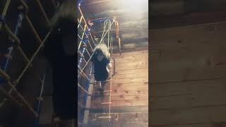 5 Июня 2023 Г.