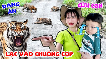 ZINO ĐI LẠC VÀO CHUỒNG CỌP - VÊ VÊ CHANNEL