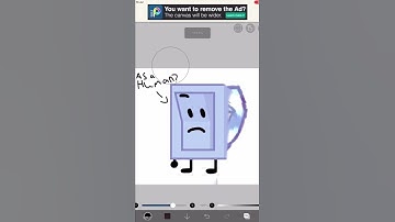 Liy +  human? #shorts #bfdi #respect