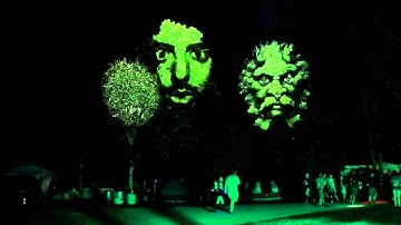 3D Motion faces projected on trees with Bassnectar @ Wakarusa Music Festival 2014 by Maizz