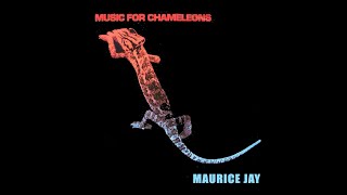 MUSIC FOR CHAMELEONS (GARY NUMAN COVER) By Maurice Jay