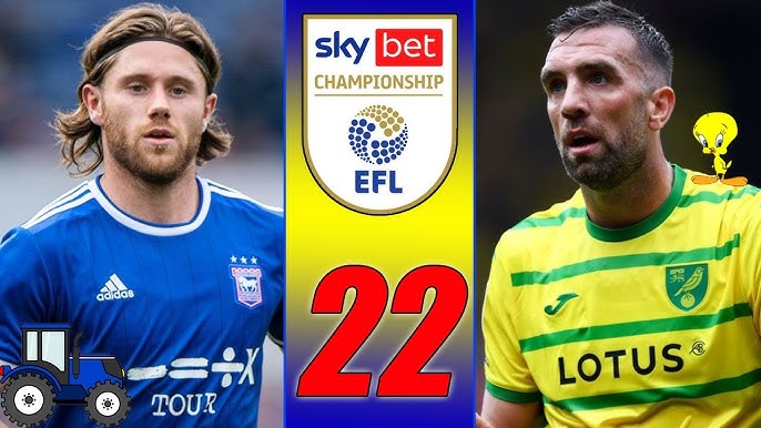 2018/19 Sky Bet Championship table: Predict how the 24 teams will