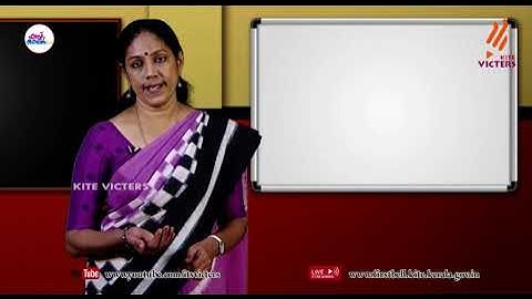 First Bell 2.0 Plus Two Malayalam Class 41