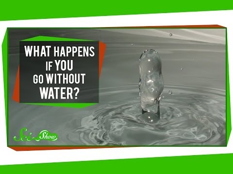 What Happens If You Go Without Water?