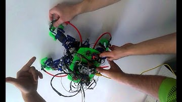 "Wally" The wall climbing robot