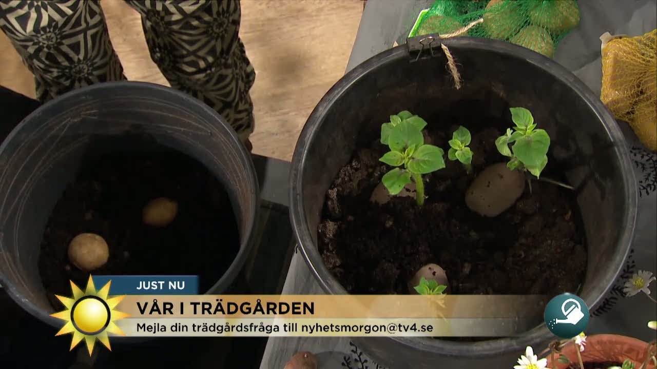 Dnepropetrovskda jinsiy aloqa izlayotgan qizlar