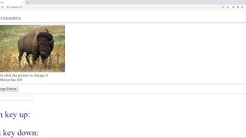 Angular 7 - Event Binding