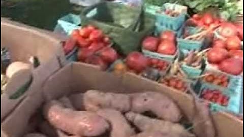 Organic Farming: Can It Feed Us (Part 1)