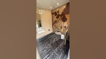 Toilet Cleans Itself! 🤯 #toilets #restroom #bathroom