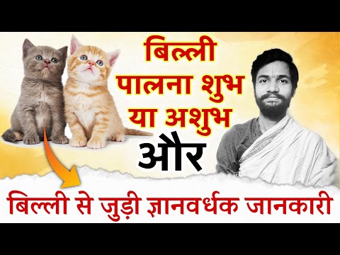 Billi palna shubh ya ashubh | घर में बिल्ली पालना शुभ है या अशुभ | बिल्ली पालने से क्या होता है |