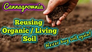 Reusing Our Soil: HOW TO Recycle & Amend Grow Medium #organic #garden #recharge #cannabiseducation