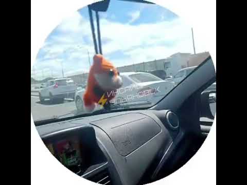 video 2024 06 28 14 56 18