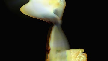 Erosion (realtime generative A/V object)