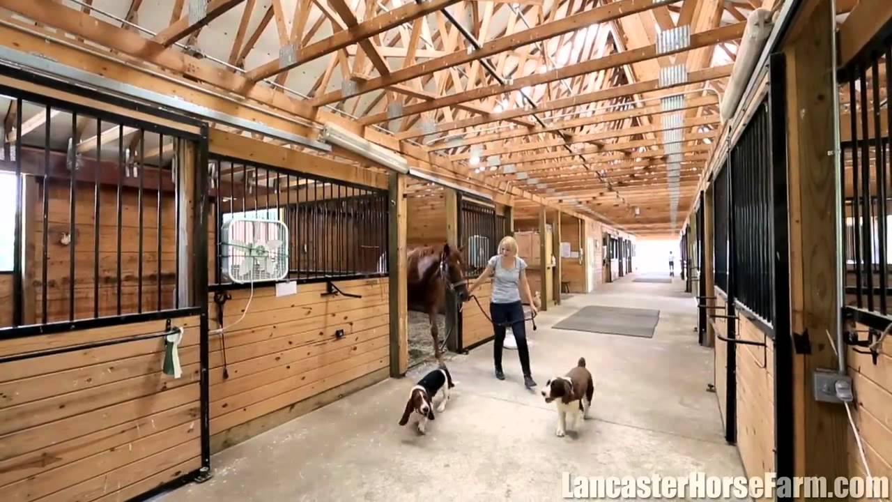 370 Goss Lane Lancaster MA horse farm YouTube