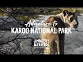 Adventure to Karoo National Park - Jimny