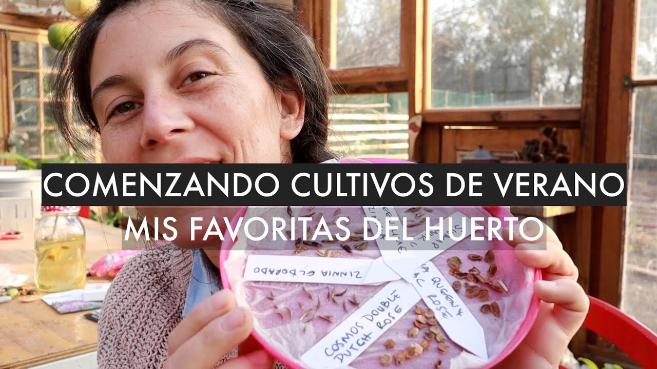 PREPARA TU HUERTO DE VERANO!! Hoy comencé con mis favoritas!! #MetododelPlatito