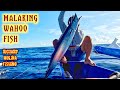 BIG WAHOO, BIG TSAMBA SA TROLLING | Richard Molina Fishing