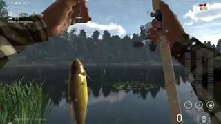 Fishing Planet  - How to fish Tench in Lesní Víla