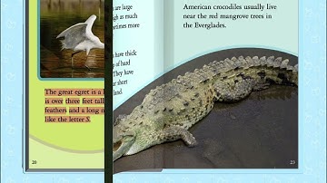 ABC Mouse Learning Path Level 8 Lesson 71 Explore The Wetlands Environment 