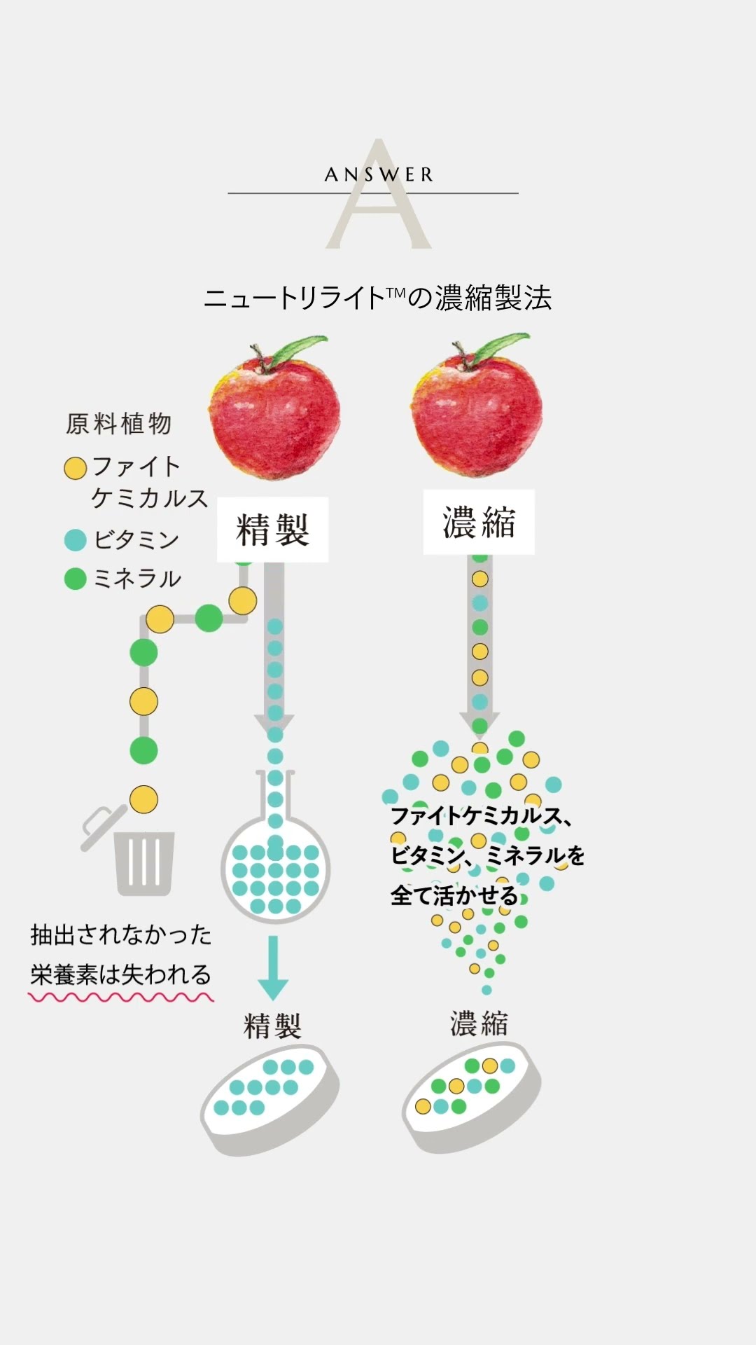 見るだけで分かる】ニュートリ プロバイオ™ プラス 製品紹介ムービー